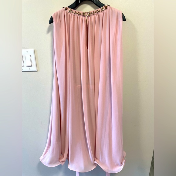 Ted Baker Dress. Size 2 - Picture 4 of 12